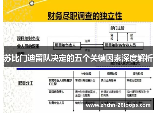 苏比门迪留队决定的五个关键因素深度解析 苏比门迪留队决定的五个关键因素深度解析