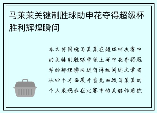 马莱莱关键制胜球助申花夺得超级杯胜利辉煌瞬间
